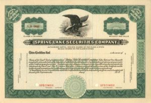 Spring Lake Securities Co.